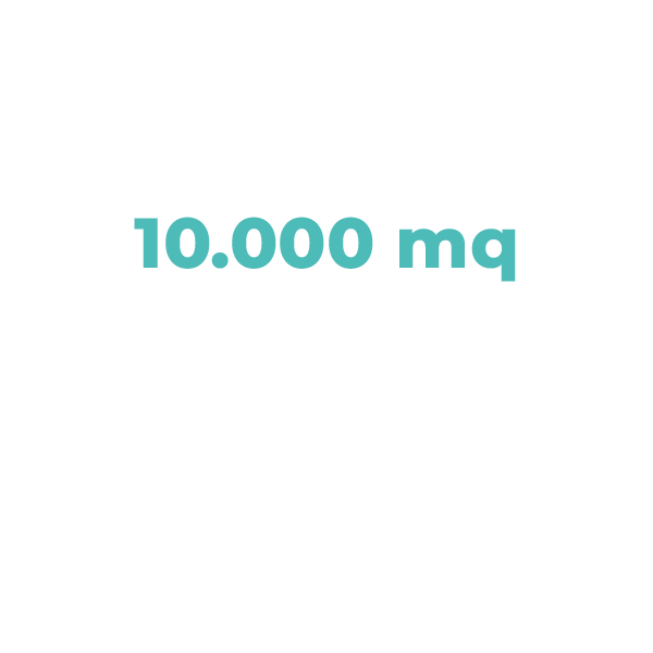 10.000 mq